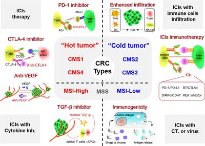 Progress in the Application of Immune Checkpoint Inhibitor-Based Immunotherapy for Targeting Different Types of Colorectal Cancer